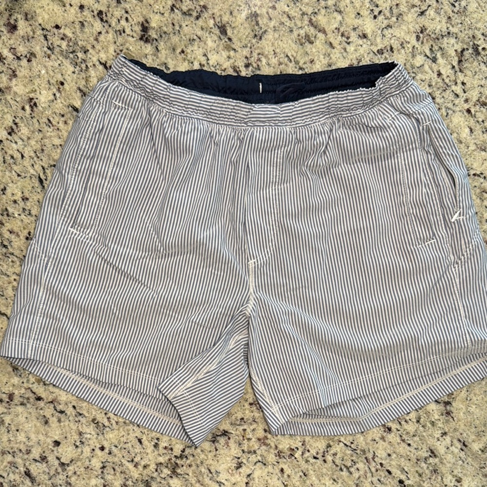 Birddogs Navy and White Stripped Shorts